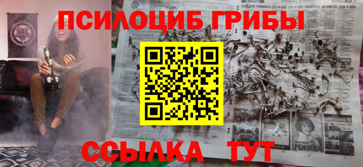 Псилоцибиновые грибы MAGIC MUSHROOMS  Вход с VPN  Вязьма 